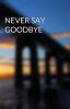 Never Say Goodbye (Webcomic)